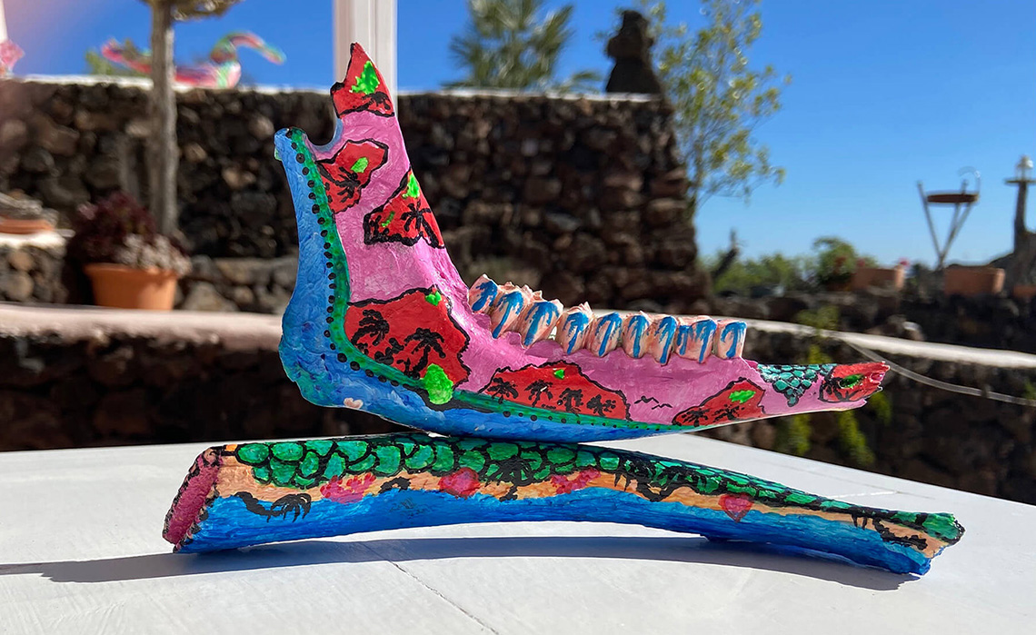 Bildtrenner_Ziege%2011